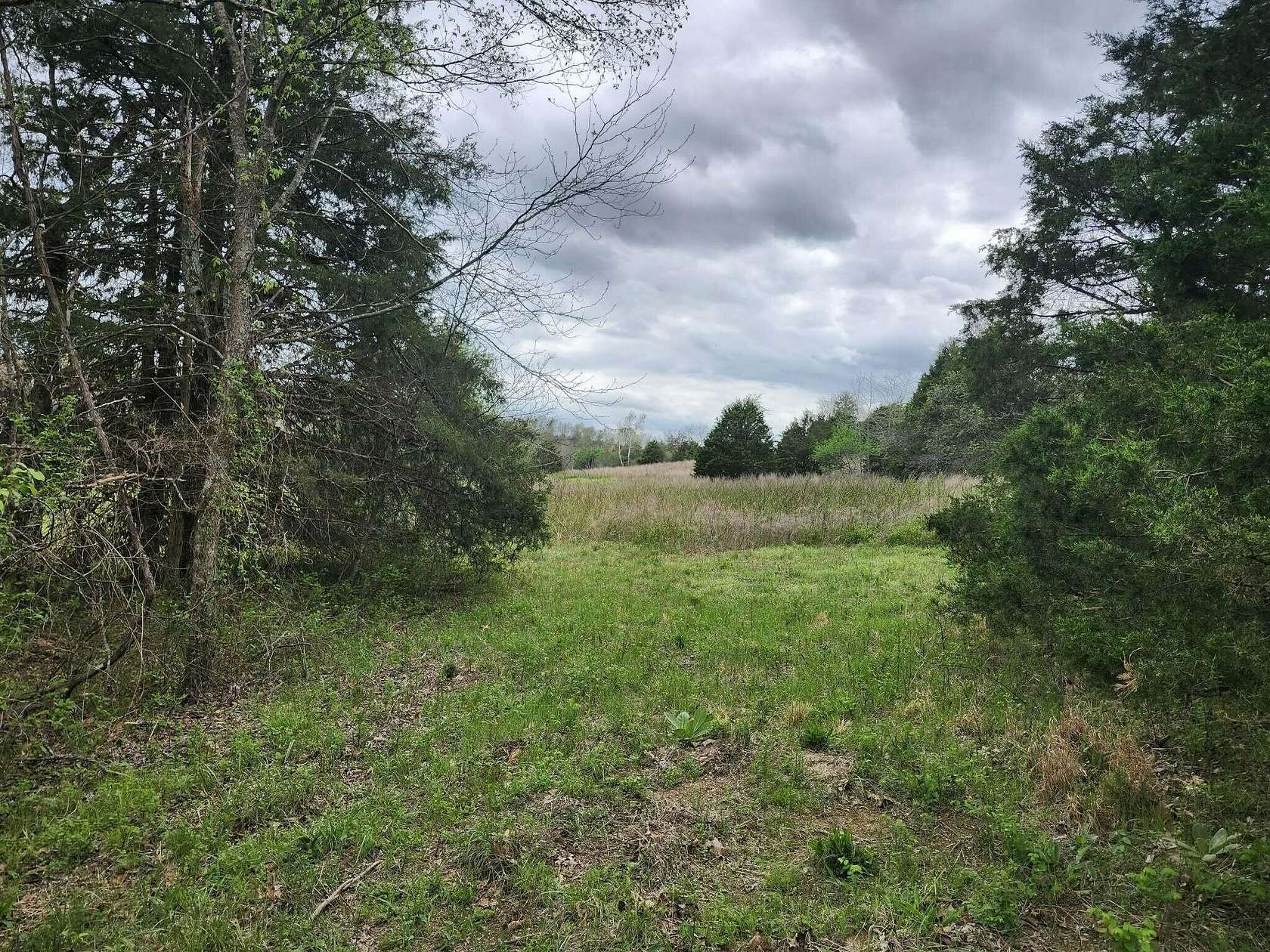 163 Acres of Recreational Land for Sale in Drury, Missouri