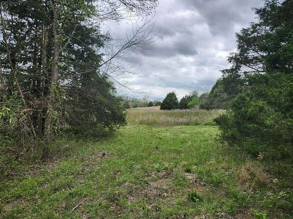 163 Acres of Recreational Land for Sale in Drury, Missouri