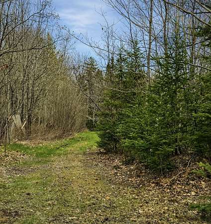 5 Acres of Land for Sale in Trenton, Maine