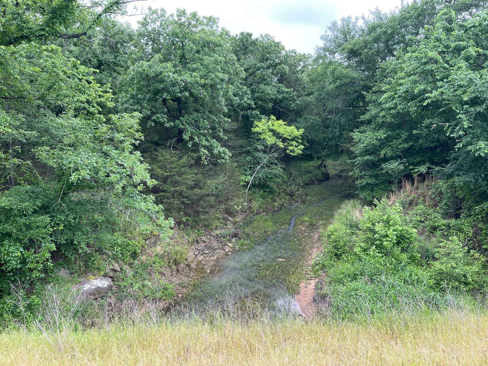 16 Acres of Recreational & Residential Land for Sale in Antlers, Oklahoma