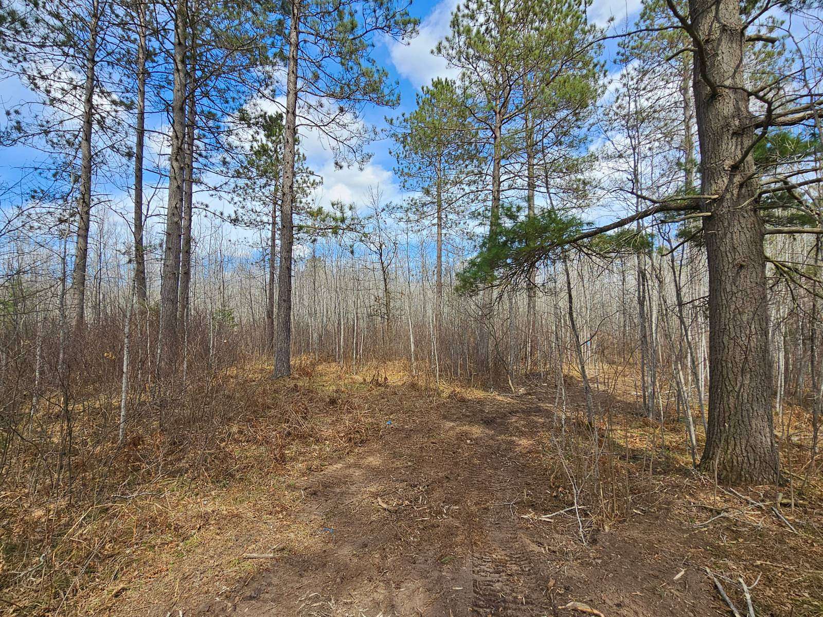 10 Acres of Recreational Land for Sale in Nokomis Town, Wisconsin