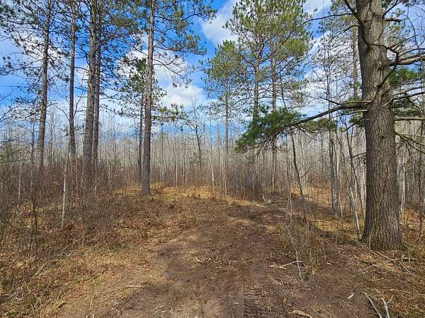 10 Acres of Recreational Land for Sale in Nokomis Town, Wisconsin