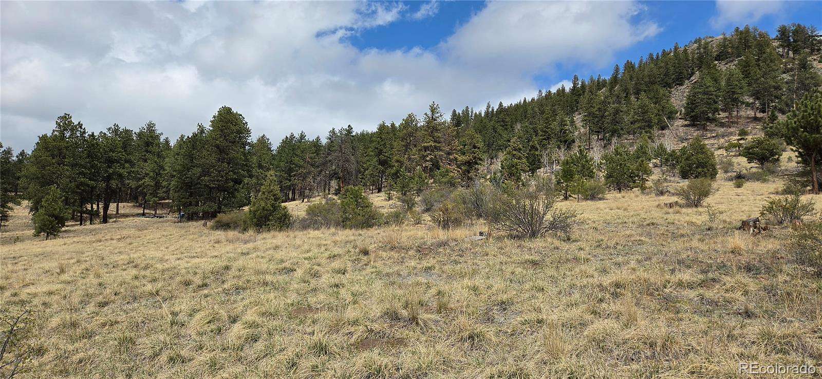 15.5 Acres of Commercial Land for Sale in Bailey, Colorado