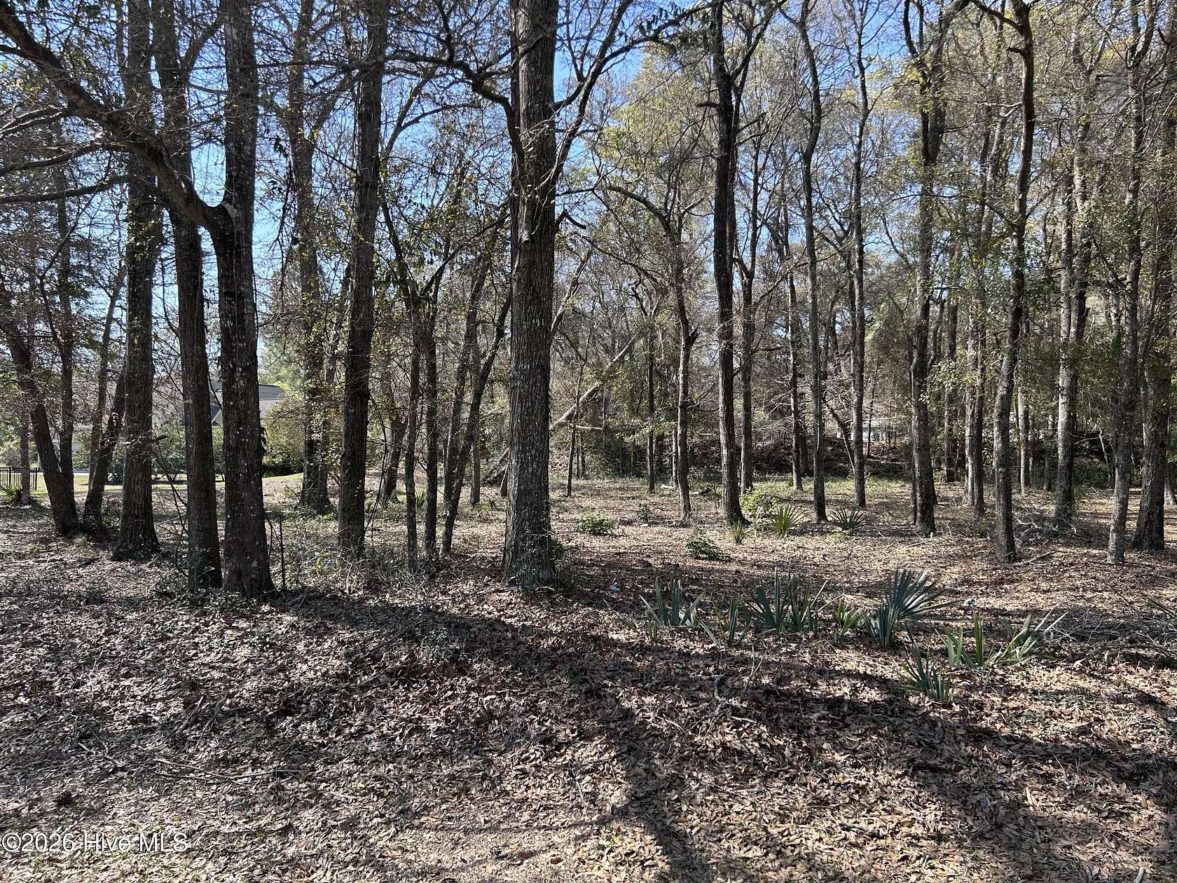 0.43 Acres of Residential Land for Sale in Supply, North Carolina
