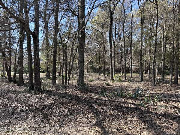 0.43 Acres of Residential Land for Sale in Supply, North Carolina