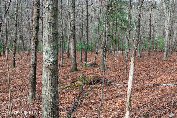 1.39 Acres of Residential Land for Sale in Henryville, Pennsylvania