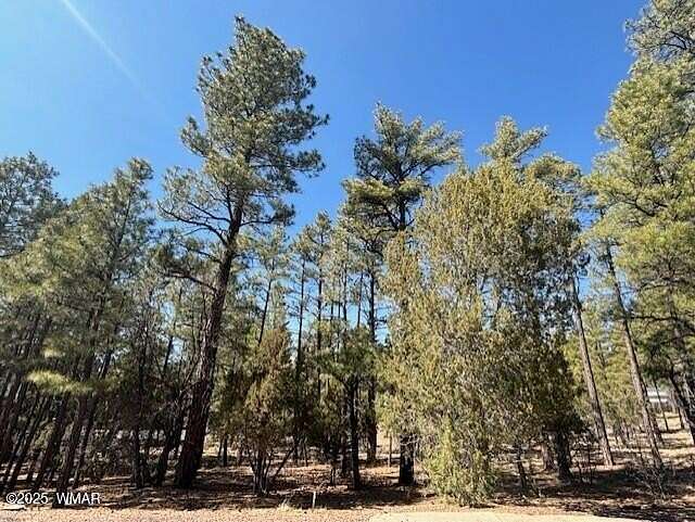 0.54 Acres of Residential Land for Sale in Show Low, Arizona