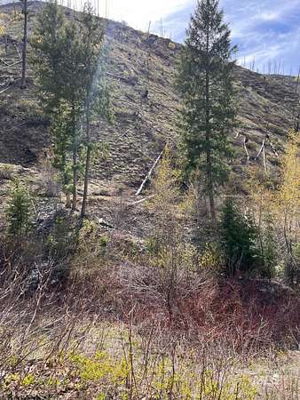 34.3 Acres of Recreational Land for Sale in Atlanta, Idaho