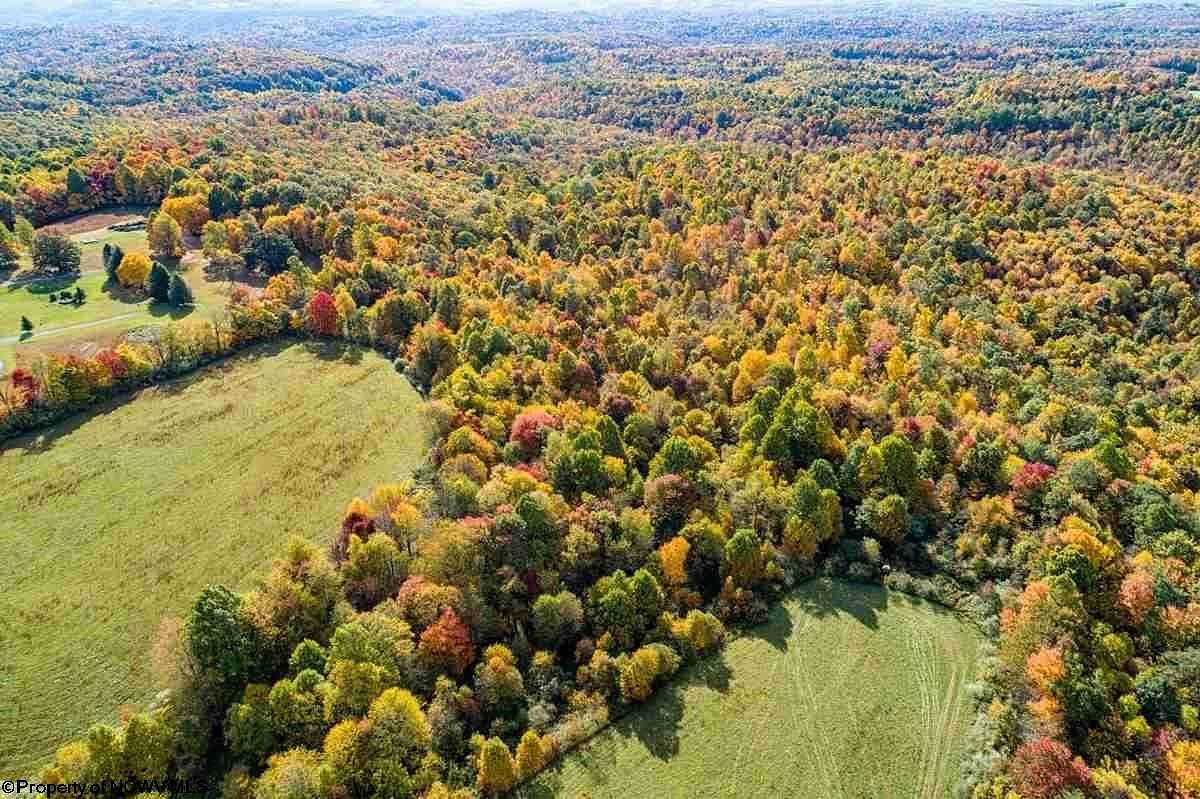 183 Acres of Recreational & Residential Land for Sale in Kingwood, West Virginia