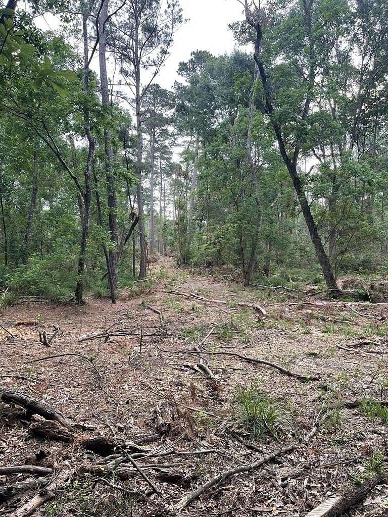 53.2 Acres of Recreational & Residential Land for Sale in Apple Springs, Texas
