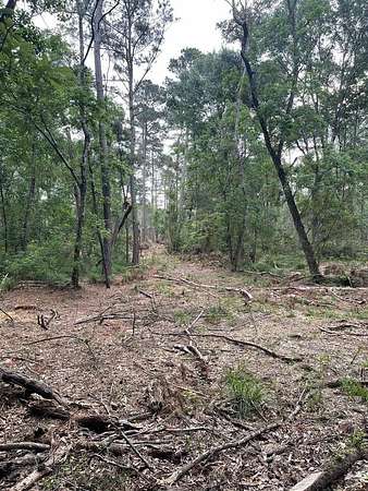 53.2 Acres of Recreational & Residential Land for Sale in Apple Springs, Texas