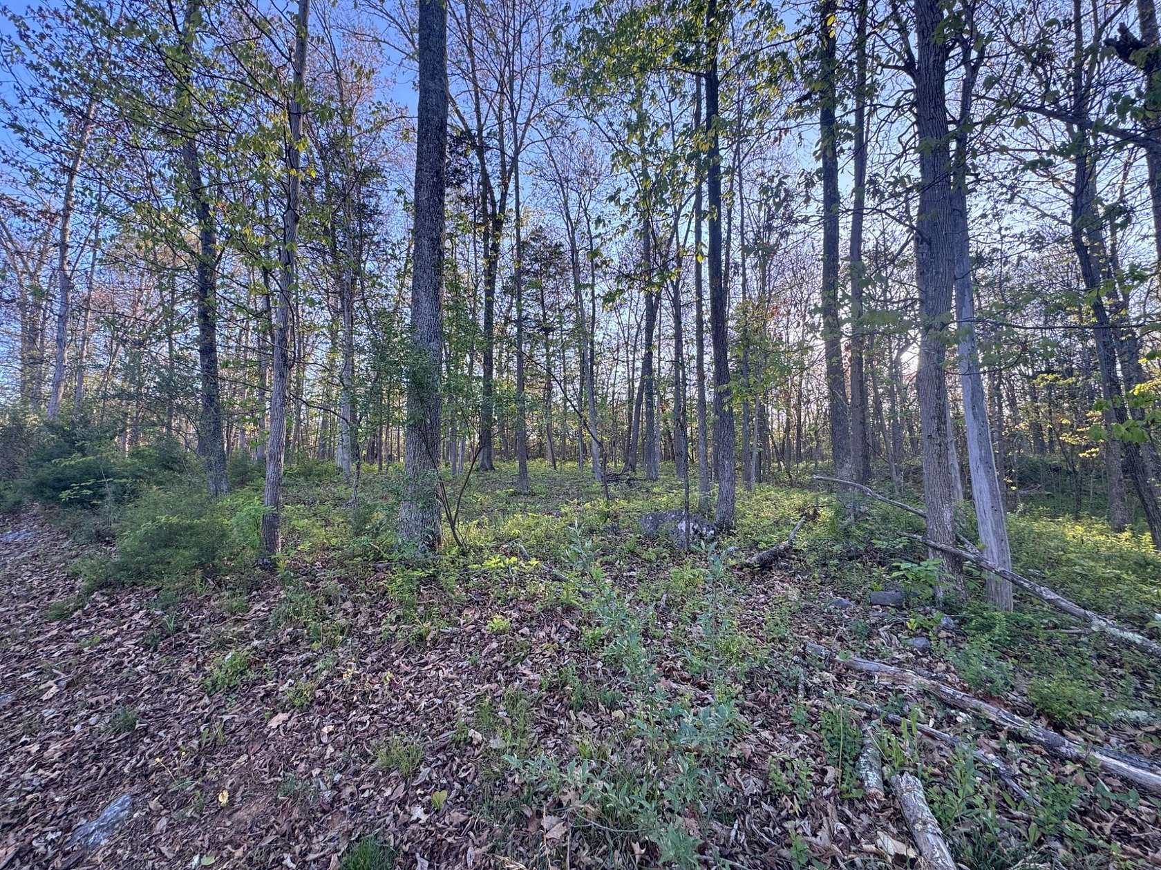6 Acres of Residential Land for Sale in Shepherdstown, West Virginia