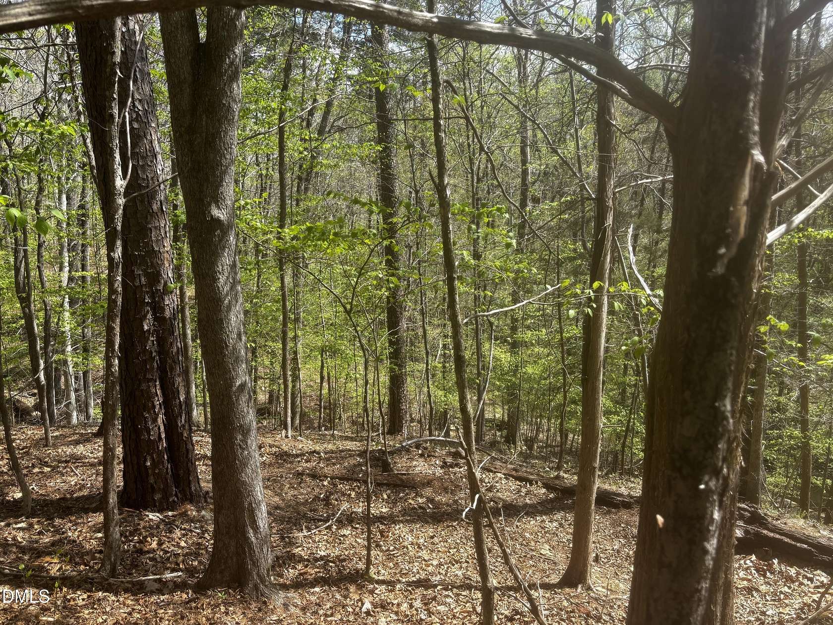 7.12 Acres of Residential Land for Sale in Roxboro, North Carolina