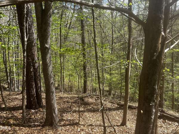 7.12 Acres of Residential Land for Sale in Roxboro, North Carolina