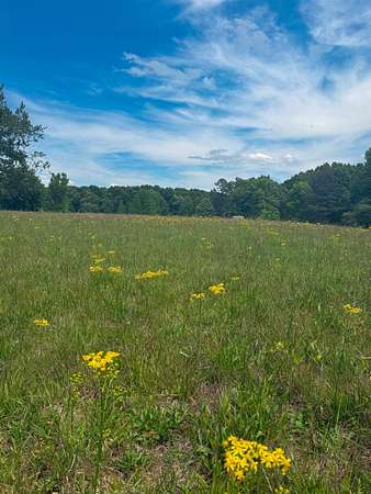 7.8 Acres of Land for Sale in Florence, Alabama