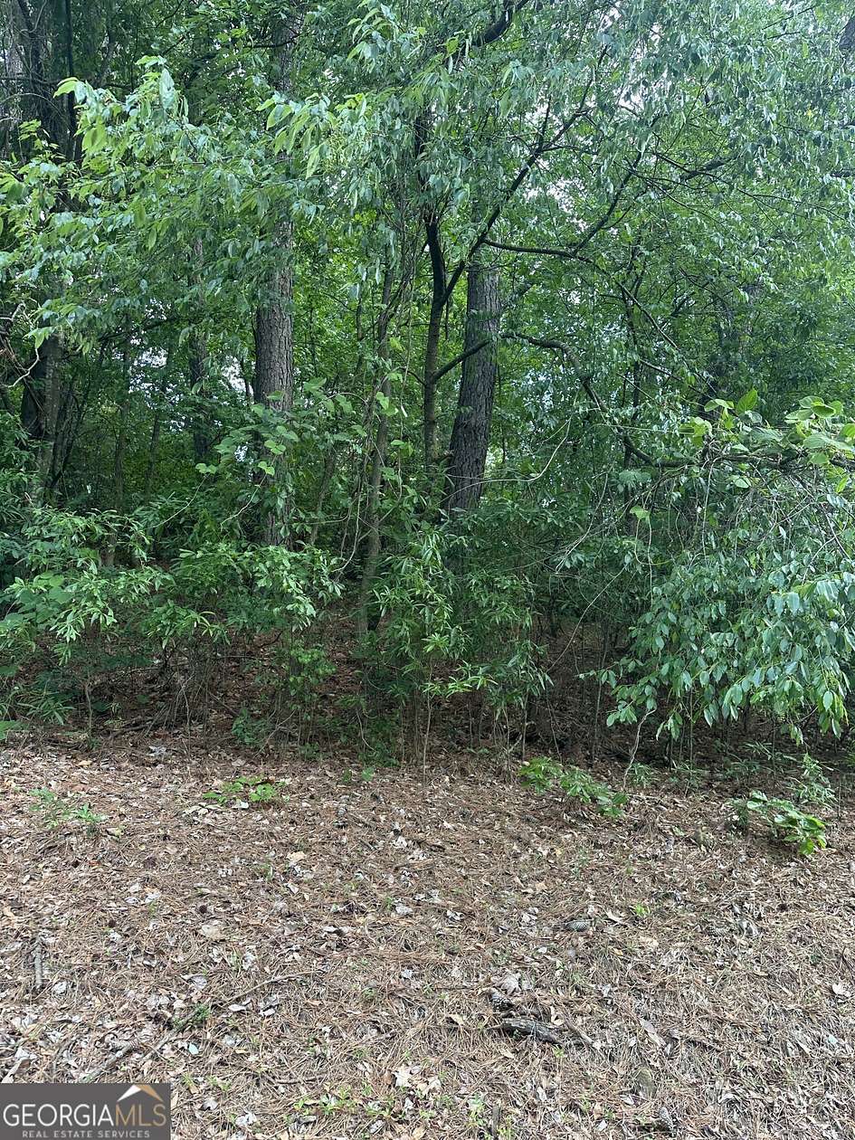 1 Acre of Land for Sale in Royston, Georgia