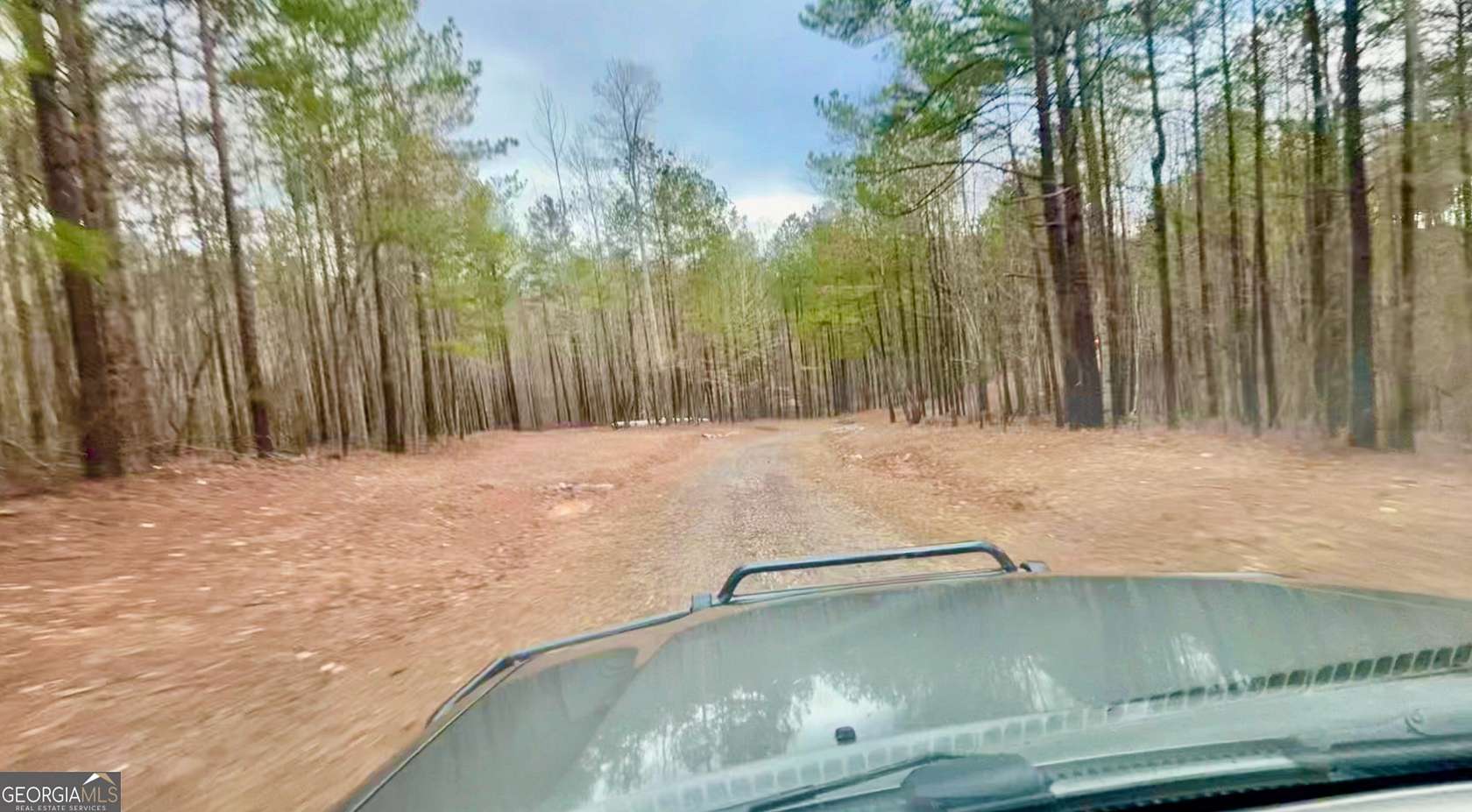 38.7 Acres of Recreational & Residential Land for Sale in Dallas, Georgia