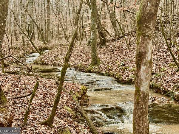 38.7 Acres of Land for Sale in Dallas, Georgia