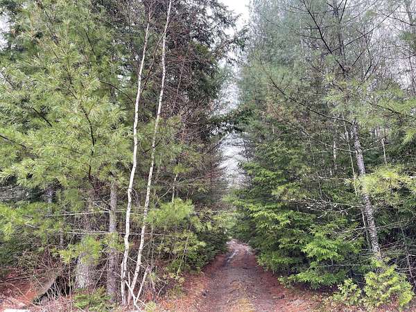 257 Acres of Recreational Land for Sale in Bradley, Maine