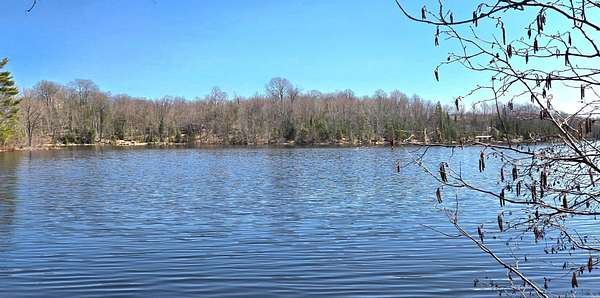 1.7 Acres of Land for Sale in Presque Isle, Wisconsin