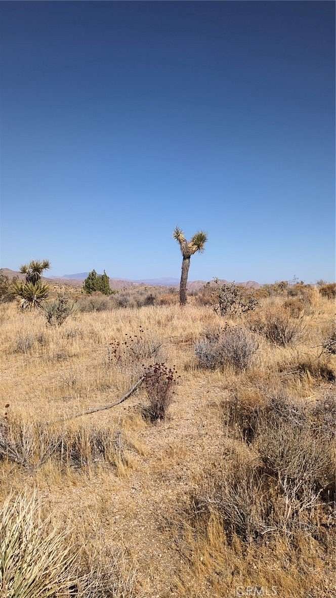 10 Acres of Land for Sale in Apple Valley, California