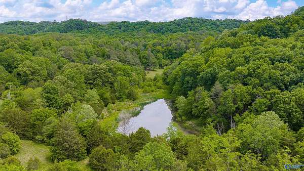 77.2 Acres of Land for Sale in Fort Payne, Alabama