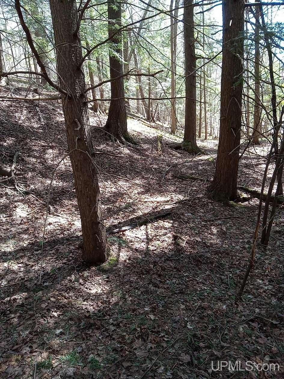 40 Acres of Recreational & Residential Land for Sale in Ontonagon, Michigan