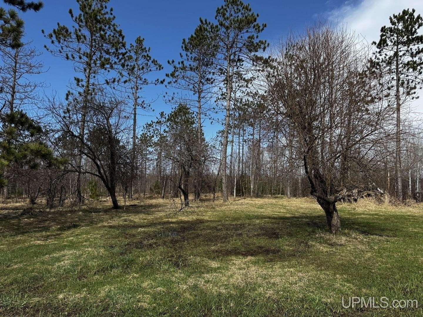 40 Acres of Recreational & Residential Land for Sale in Ontonagon, Michigan
