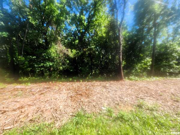 0.73 Acres of Residential Land for Sale in Mackinaw, Illinois