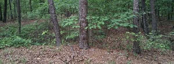 0.61 Acres of Residential Land for Sale in Hot Springs Village, Arkansas