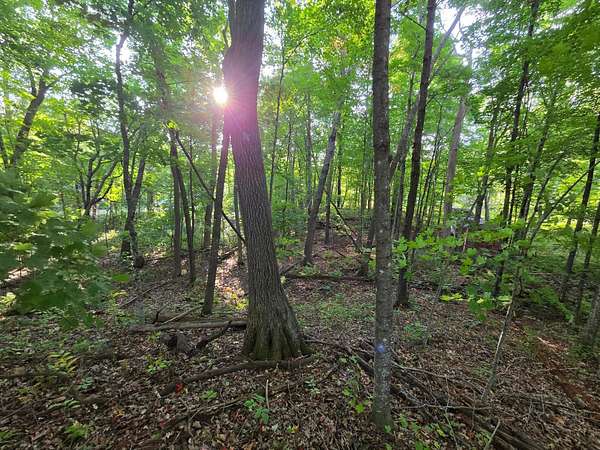 0.96 Acres of Residential Land for Sale in Garrison, Minnesota