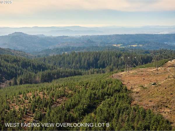 20 Acres of Recreational & Residential Land for Sale in Washougal, Washington