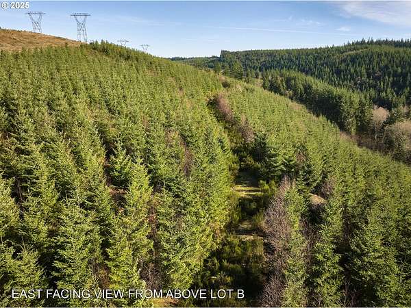 20 Acres of Recreational Land for Sale in Washougal, Washington