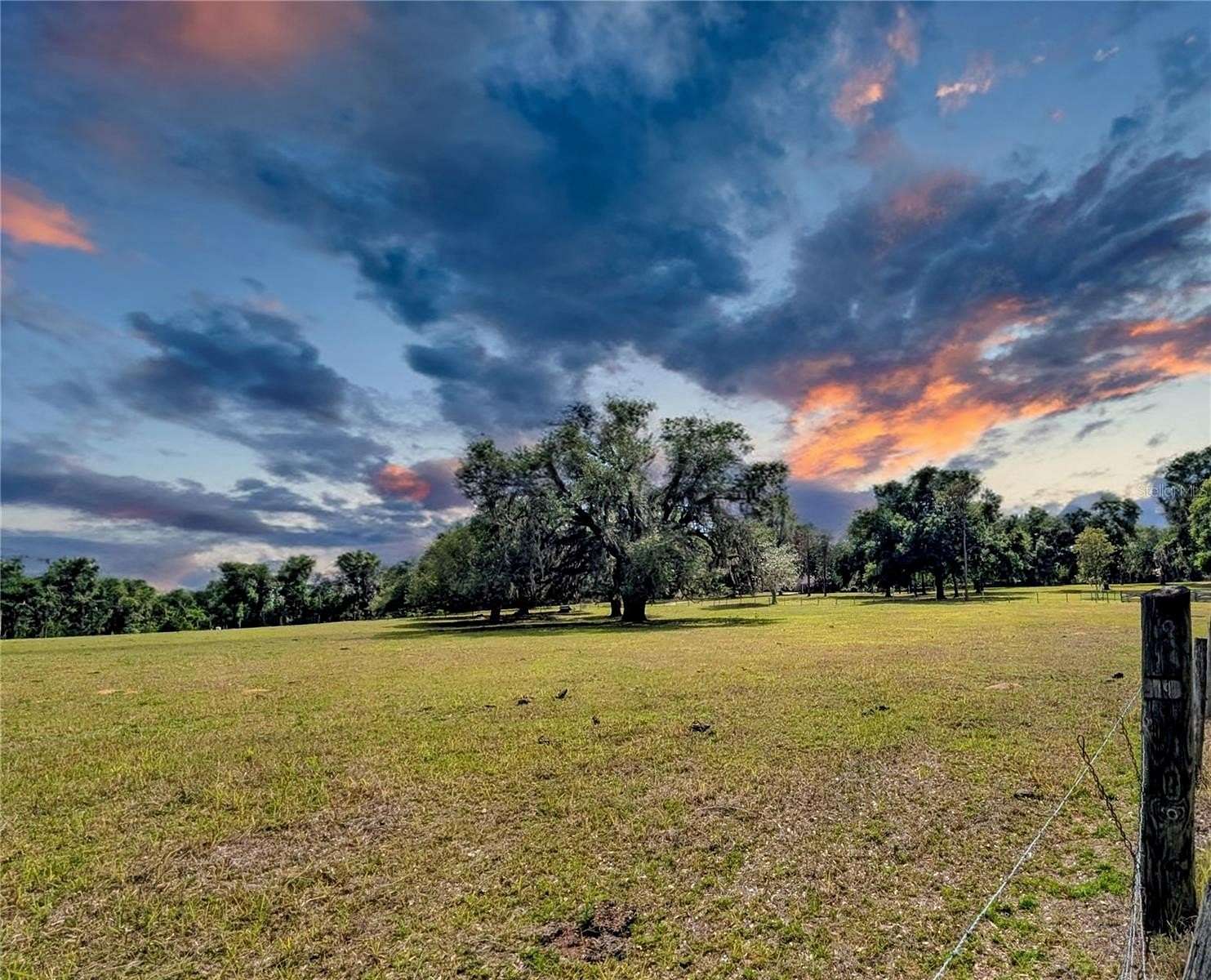 7.47 Acres of Agricultural Land for Sale in Dade City, Florida