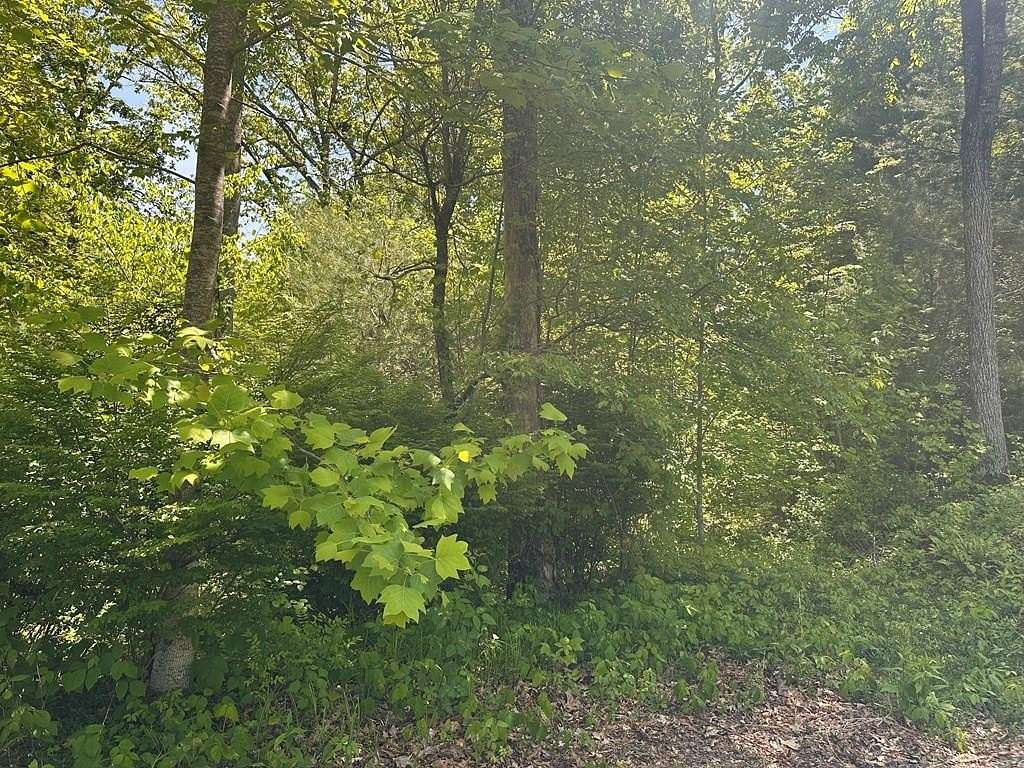 0.88 Acres of Residential Land for Sale in Franklin, North Carolina