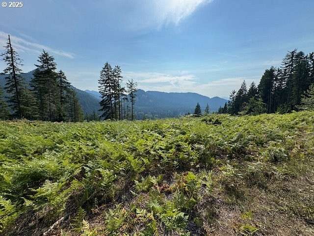9.2 Acres of Residential Land for Sale in Carson, Washington