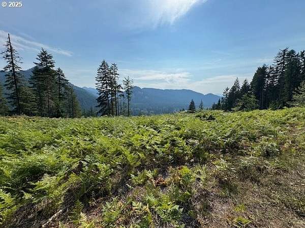 9.2 Acres of Residential Land for Sale in Carson, Washington