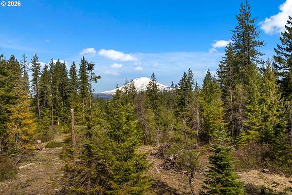 3 Acres of Residential Land for Sale in Trout Lake, Washington