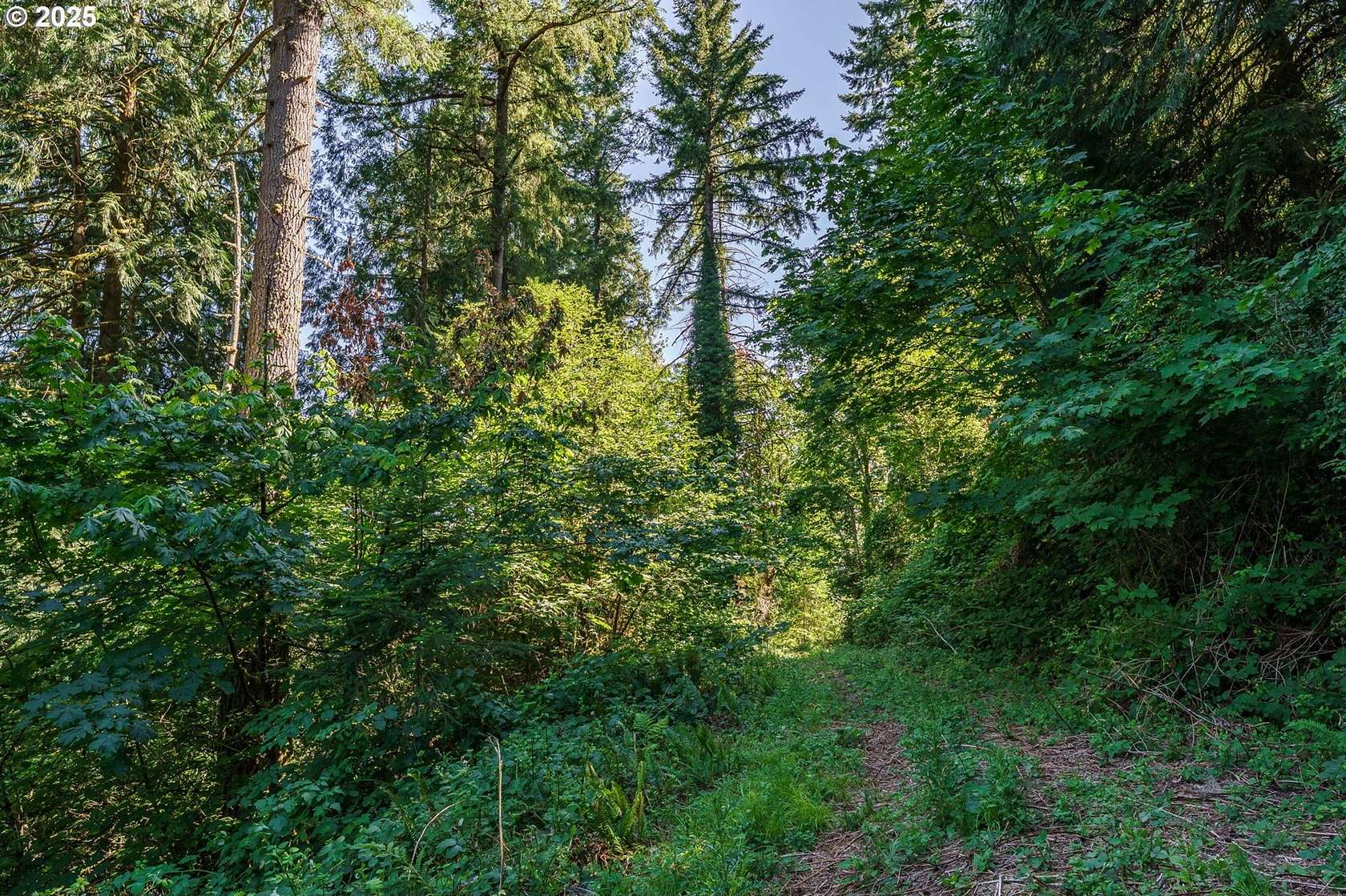 10 Acres of Residential Land for Sale in La Center, Washington 10 Acres of Residential Land for Sale in La Center, Washington
