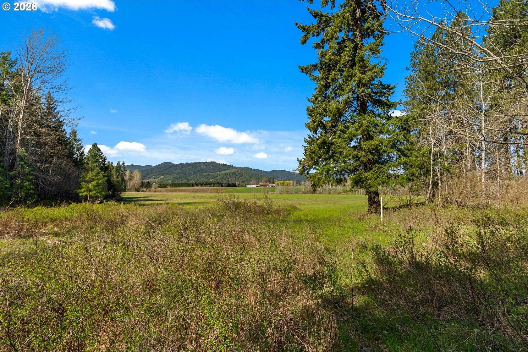38 Acres of Recreational Land for Sale in Trout Lake, Washington