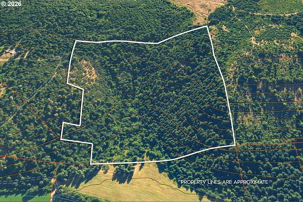 38 Acres of Recreational Land for Sale in Trout Lake, Washington