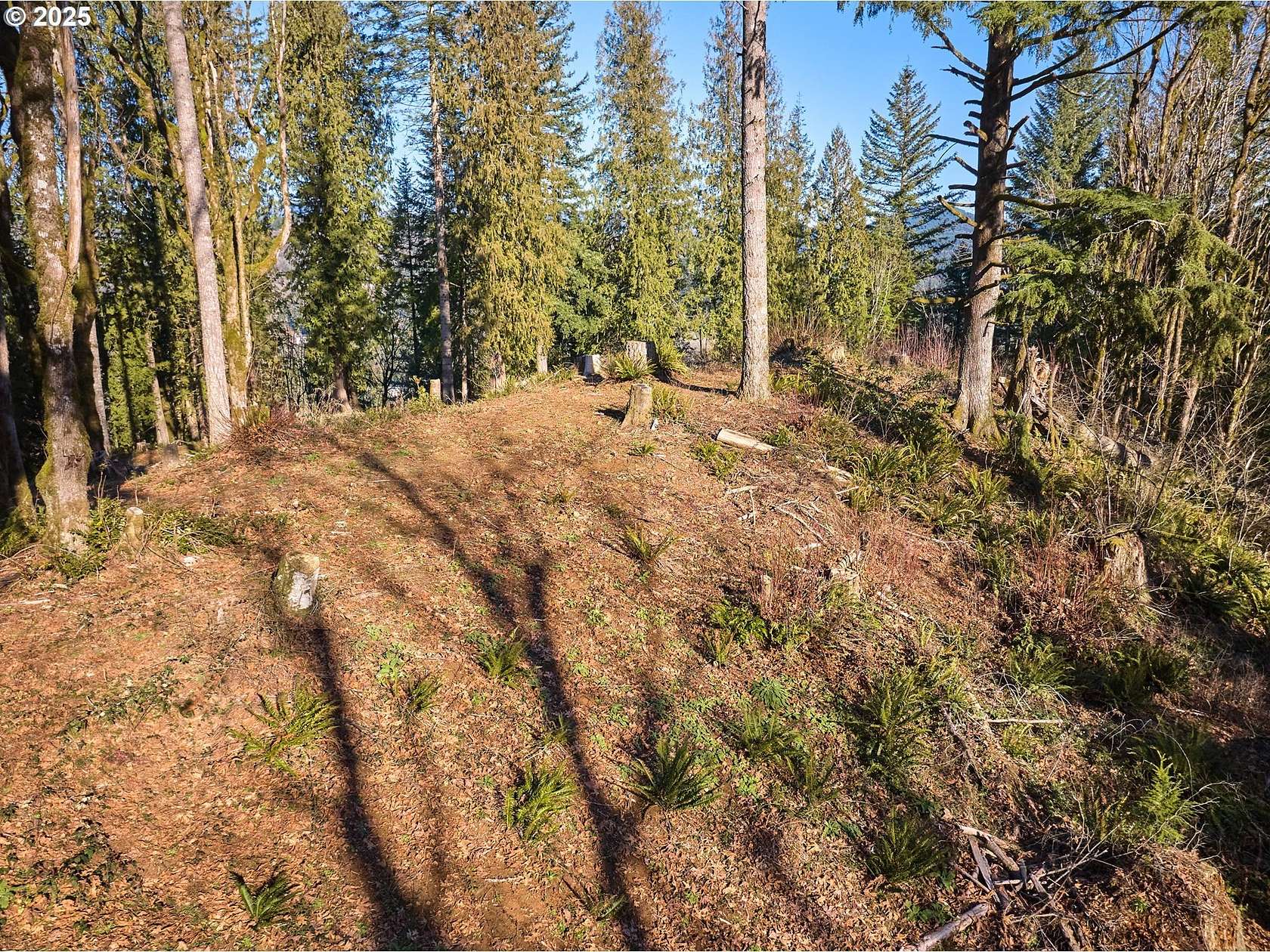 8.4 Acres of Residential Land for Sale in Washougal, Washington