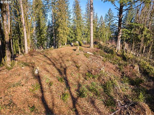 8.4 Acres of Residential Land for Sale in Washougal, Washington