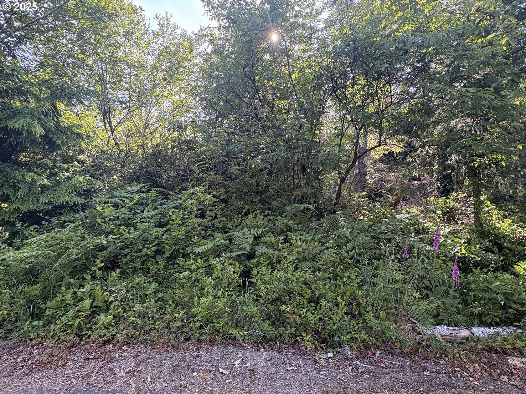 0.3 Acres of Land for Sale in Ocean Park, Washington