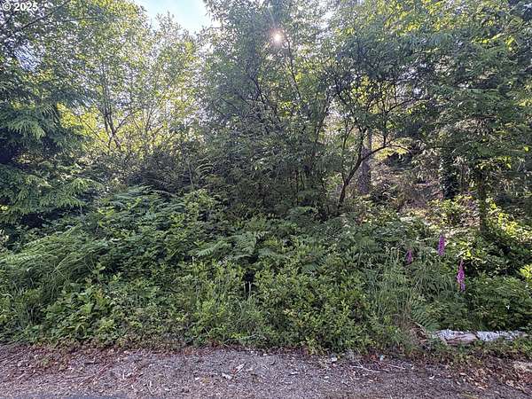0.3 Acres of Land for Sale in Ocean Park, Washington