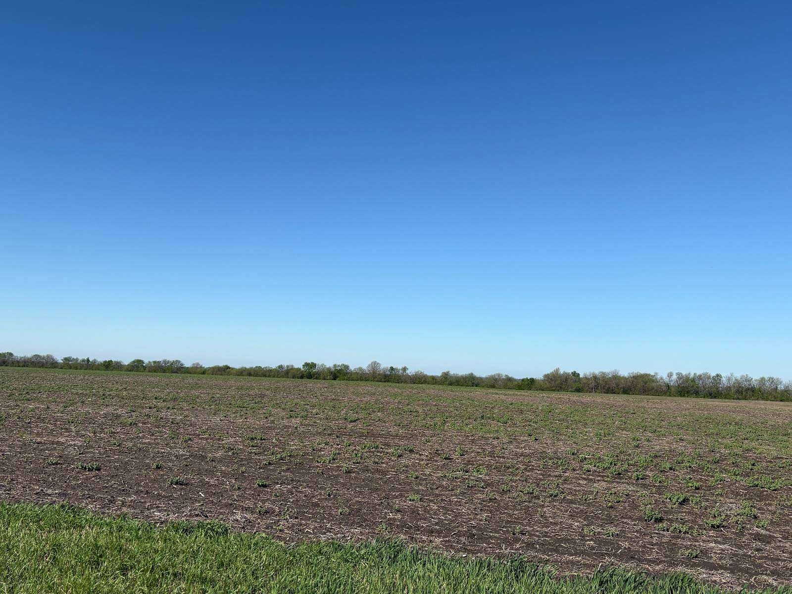 122 Acres of Land for Sale in Hughesville, Missouri