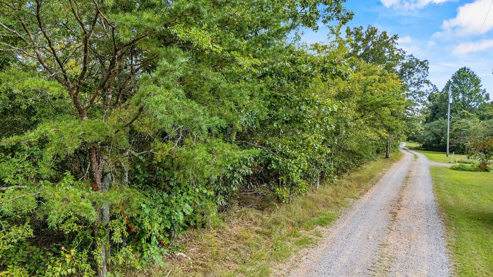 5.19 Acres of Residential Land for Sale in Trenton, Georgia