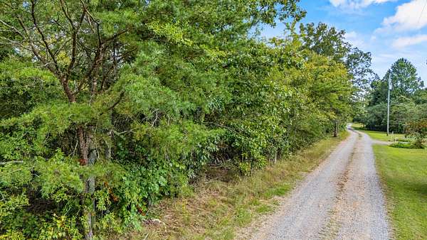5.19 Acres of Residential Land for Sale in Trenton, Georgia