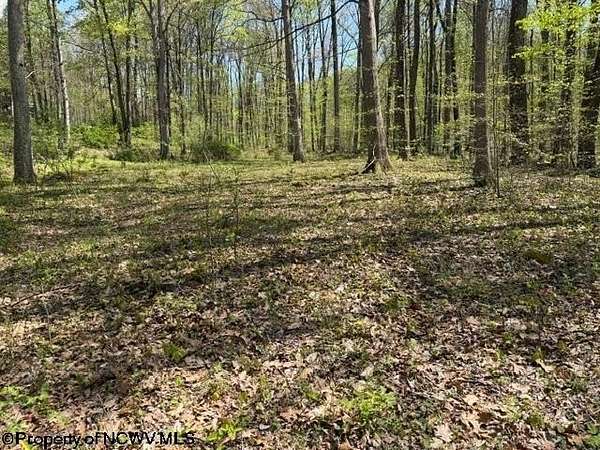 2 Acres of Residential Land for Sale in Montrose, West Virginia