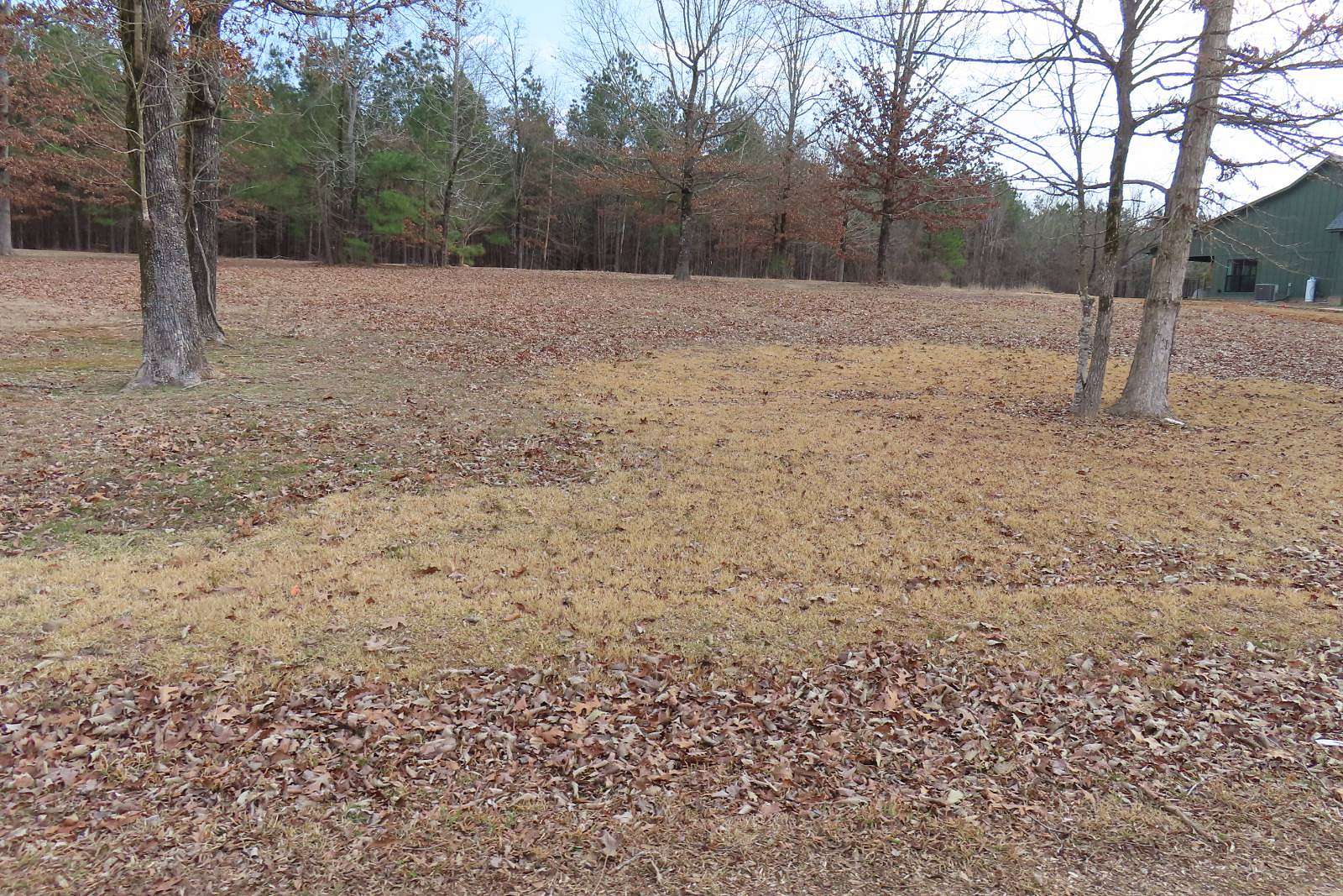0.6 Acres of Residential Land for Sale in Taylor, Arkansas